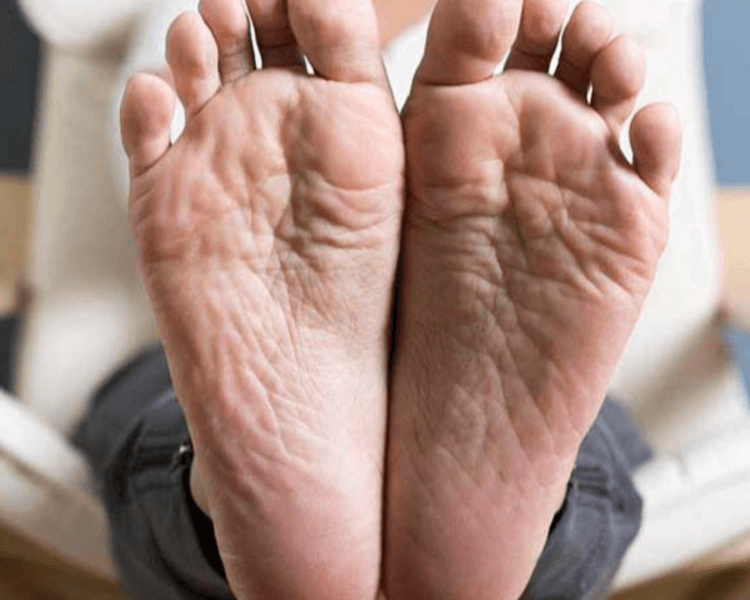 Podología Clínica Geriátrica