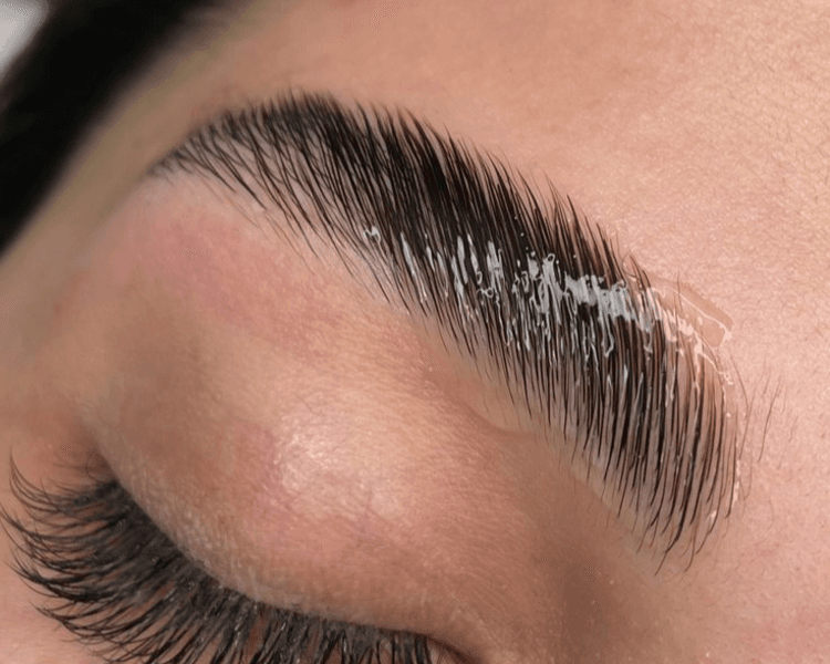 Laminado + Nutrición