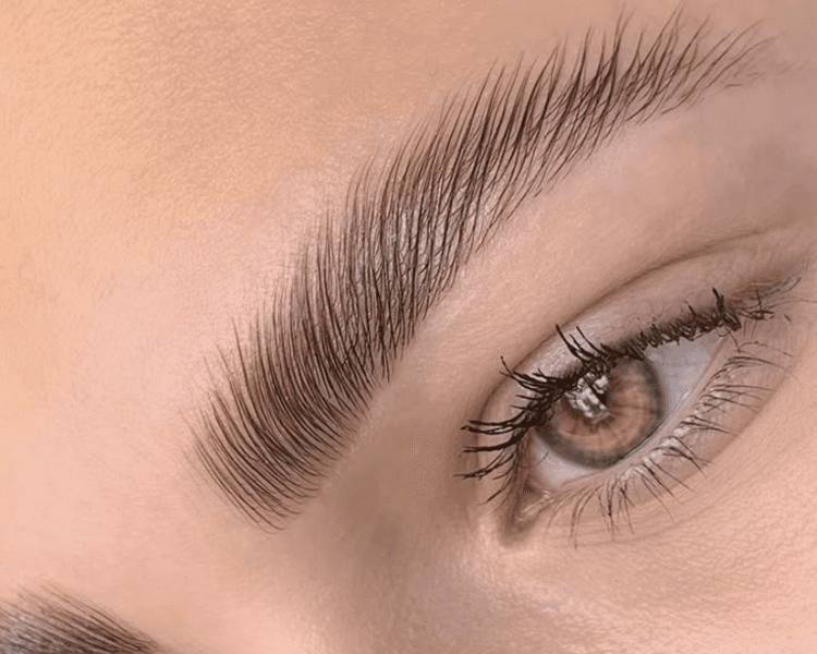 Laminado + Nutrición + Perfilado de Cejas