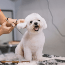 Estilista (Solo Baño)