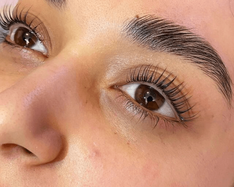 LAMINADO+MODELADO+NUTRICIÓN DE CEJAS