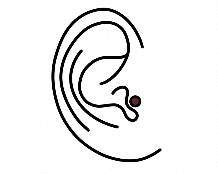 Tragus Piercing