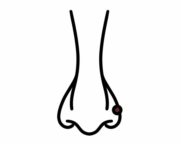 Piercing de nariz tradicional - Nostril