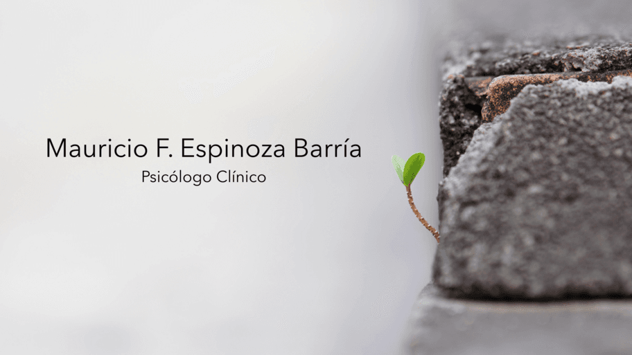 Dr. Mauricio Espinoza Barría banner