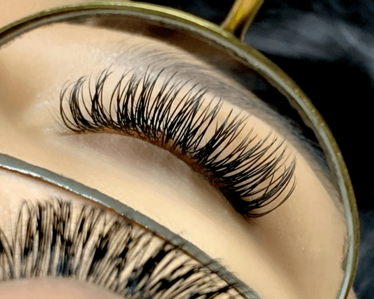 Service de Extenciones de Pestañas volumen Brasilero