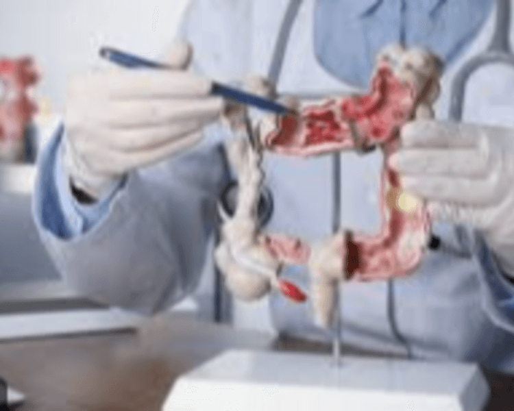 Consulta Microbiota (Videollamada)