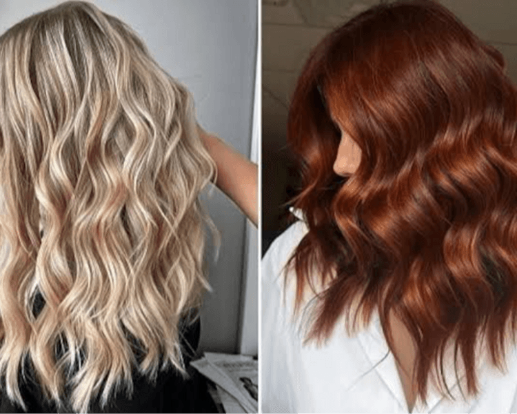 COLOR ENTERO - DESDE