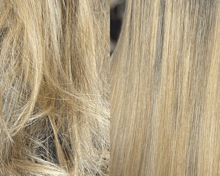 Reconstrucción SOS🧬