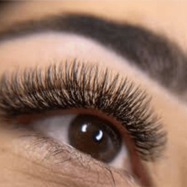 Volumen Griego con fibras tecnológicas 4D