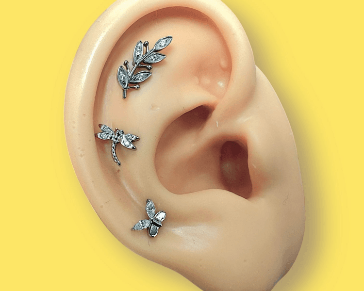 Proyecto 5 (367,591,631)