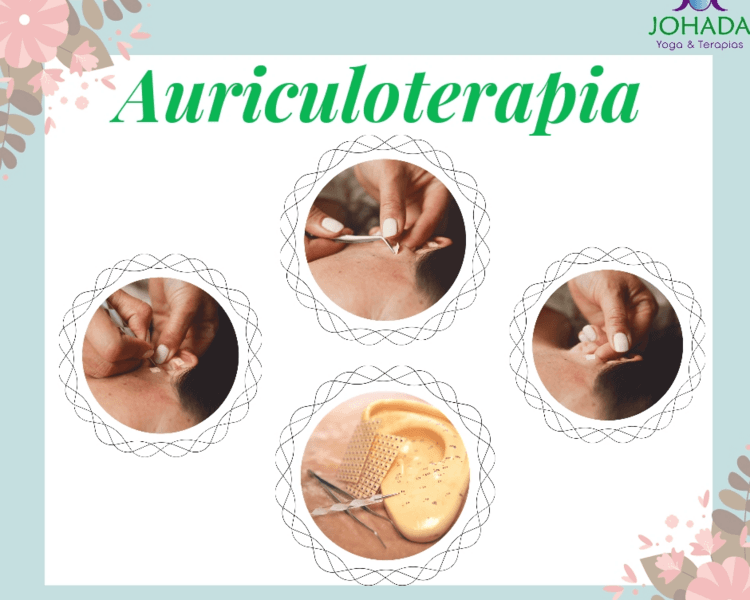 Auriculoterapia Continuación cambios de semillas