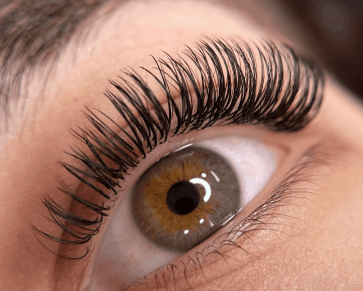 Extensiones Clásicas