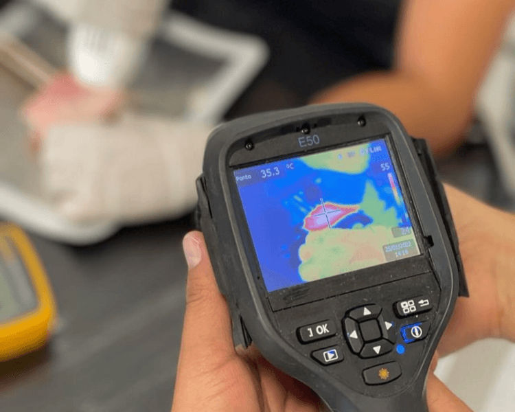 CONSULTA EVALUACIÓN - PRESENCIAL