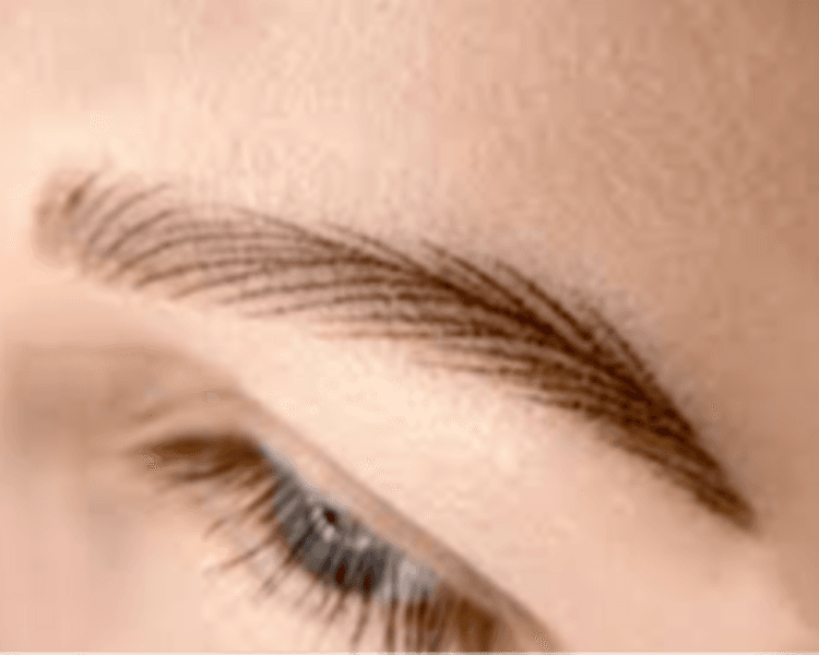 Hair strokes( micropigmentacion pelo a pelo)