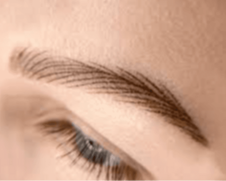 Hair strokes( micropigmentacion pelo a pelo)