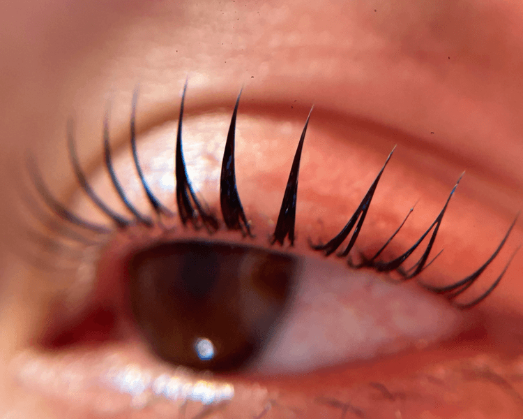 Lifting de Pestañas Servicio Premium