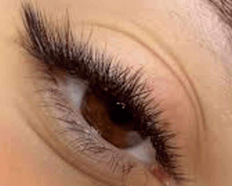 Extensiones de pestañas Foxy