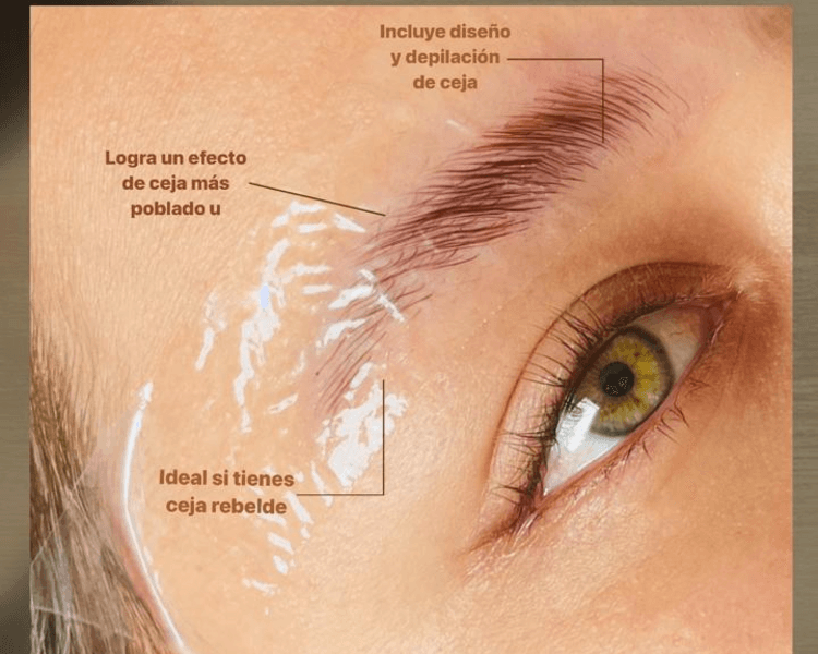 LAMINADO DE CEJAS