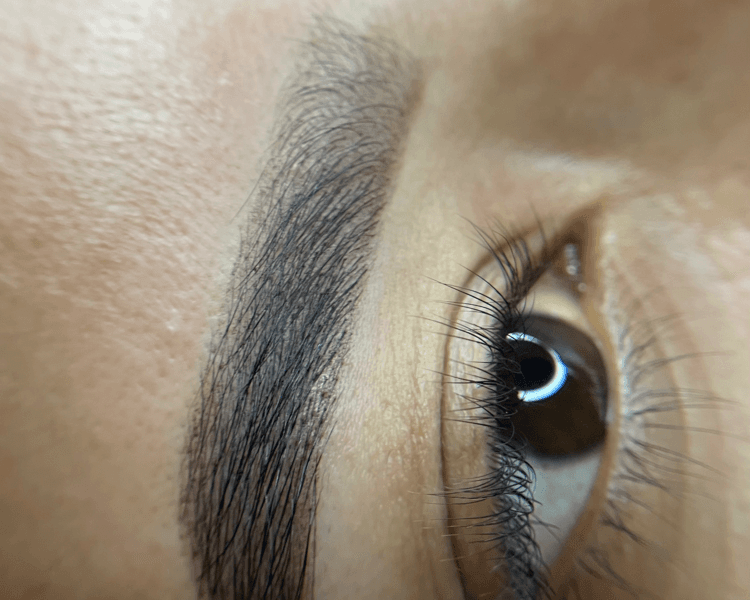 Micropigmentación de Cejas