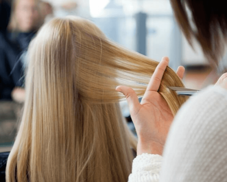 Corte Bordado manual (tijeras)