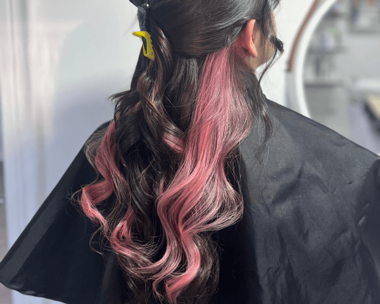 Bloque de color cabello largo