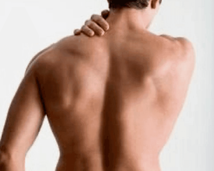 Brazos completo hombre