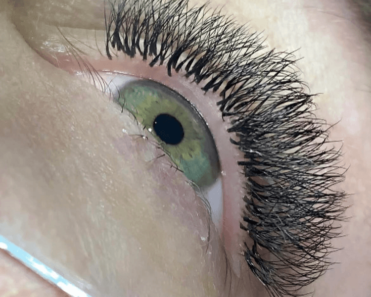 Volumen Tecnológico ( 5D W GRIEGAS )