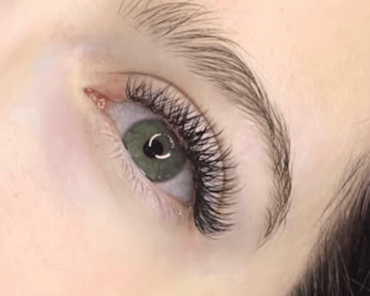 Volumen tecnológico ( 4D YY Brasileras )