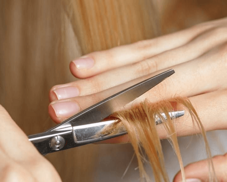 Corte de cabello talla L