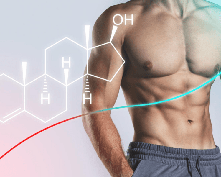 HIPERTROFIA MUSCULAR POR ZONA (Biceps/Triceps, Gluteos, Pecho)