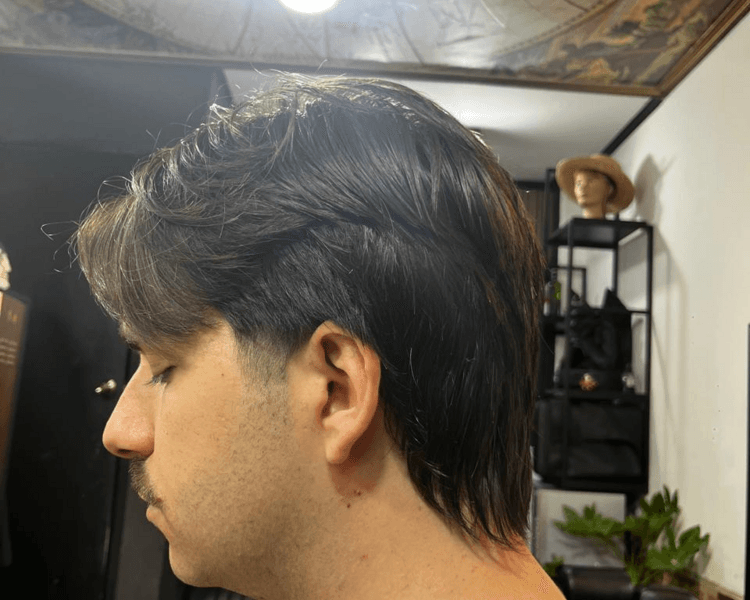 𝑪𝒐𝒓𝒕𝒆 𝒅𝒆 𝒄𝒂𝒃𝒆𝒍𝒍𝒐 𝑳𝒂𝒓𝒈𝒐