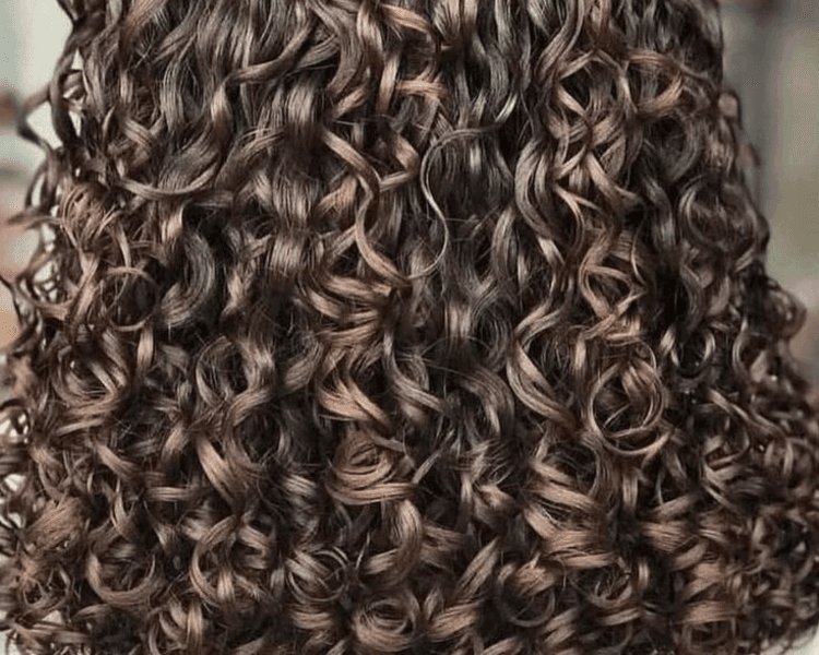 CELULAS MADRES - RIZOS