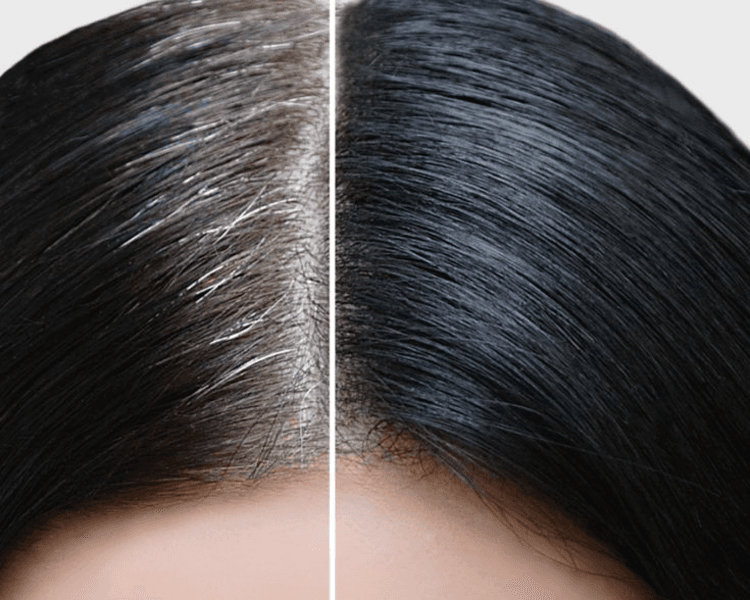 RETOQUE DE CANAS OSCURO