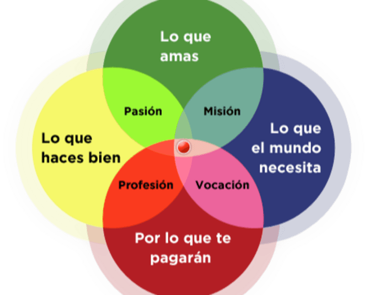 Consulta con Psicopedagogia. Lic. Marisol Berneix