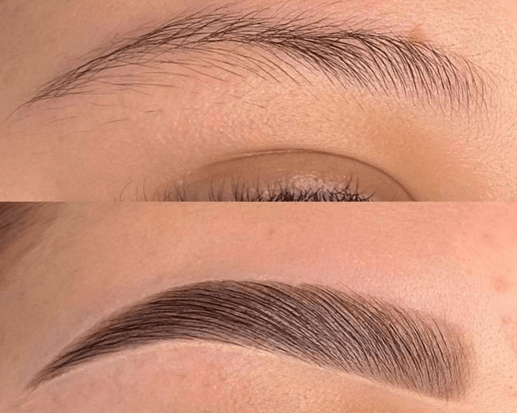 SEMIPIGEMNTACION DE CEJAS