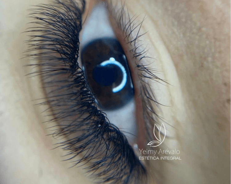 Pestañas Efecto Hawaiano 2D