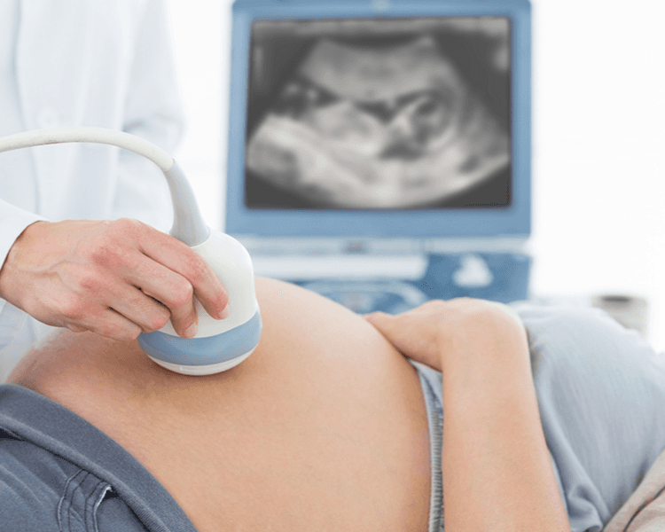 Consulta de Embarazo