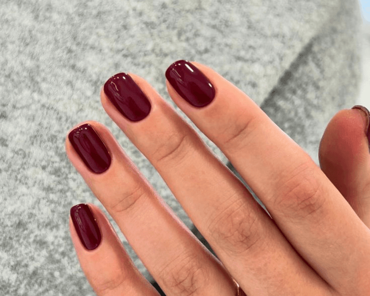 Regular Bio Gel Manicure