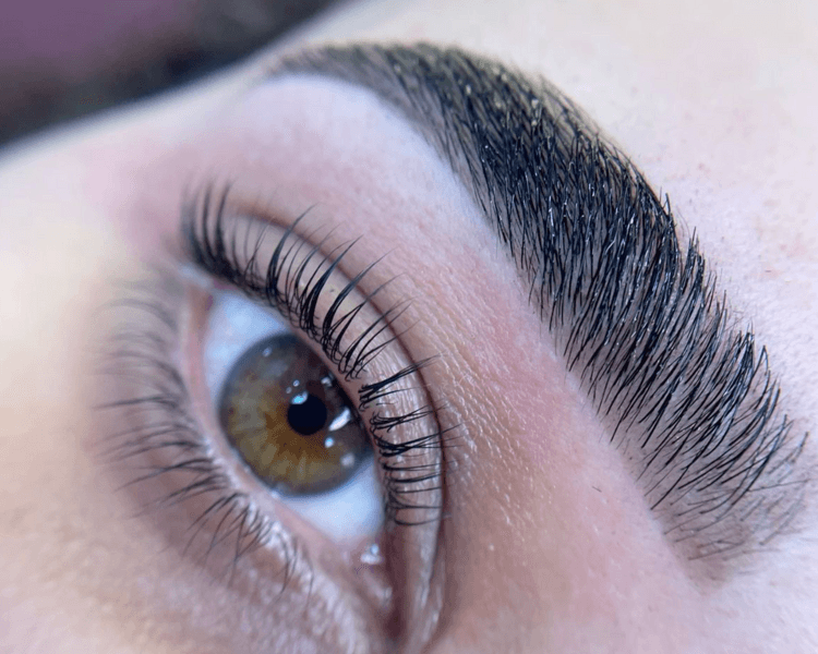 COMBO Lifting de pestañas con tinte y botox nutritivo + Diseño y perfilado de cejas + Laminado de cejas + Sombreado con tinte/henna de cejas