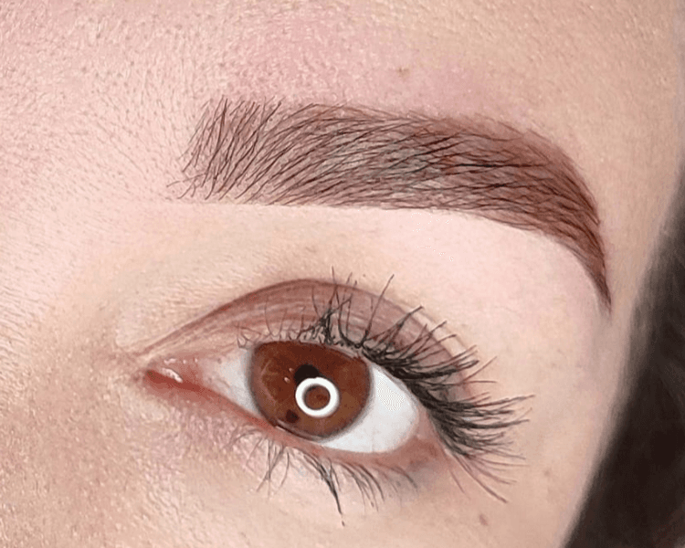 Diseño de cejas con pigmento