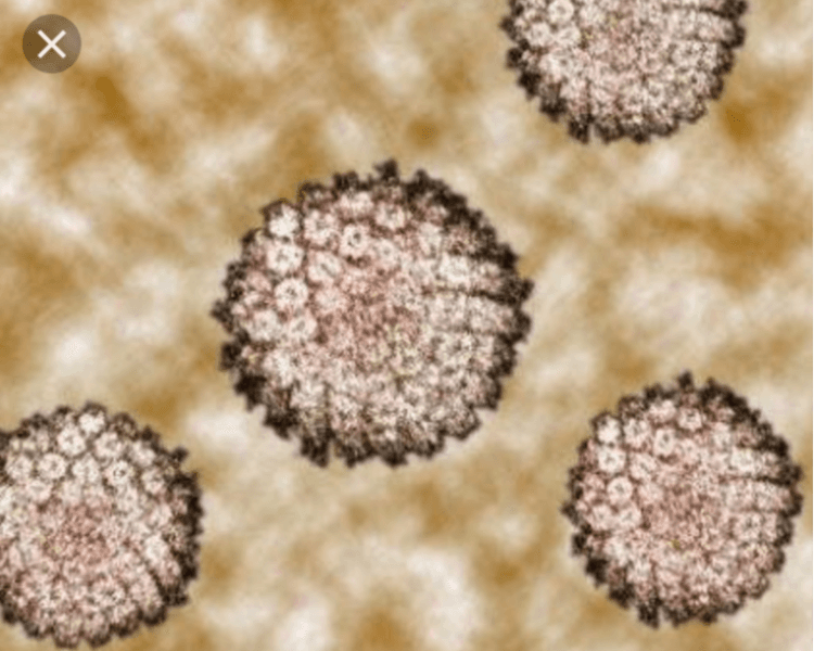 Paquete de Revisión Completa Plus