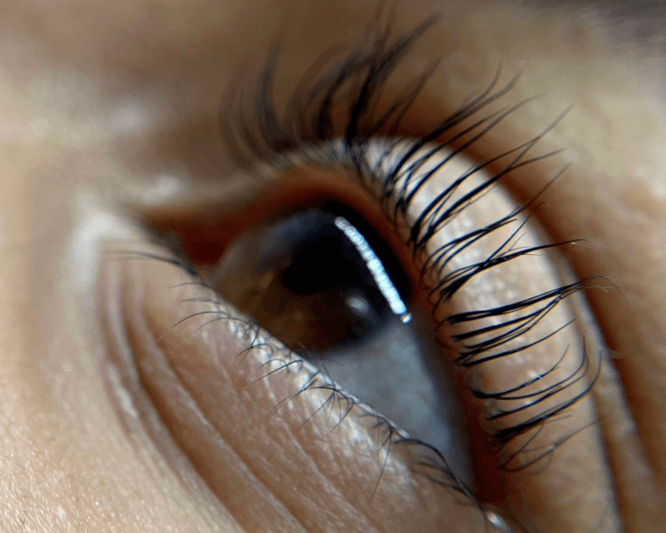 Lifting de pestañas con tinte, botox y keratina