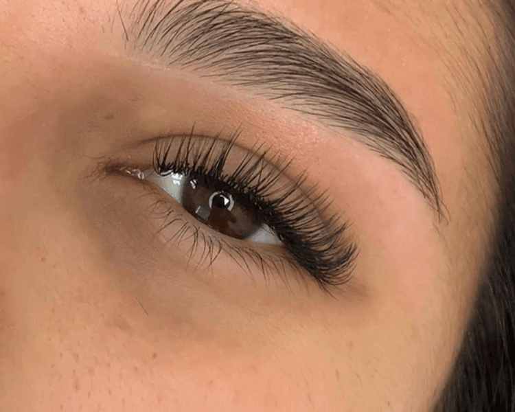 Pestañas Clasicas Ligh