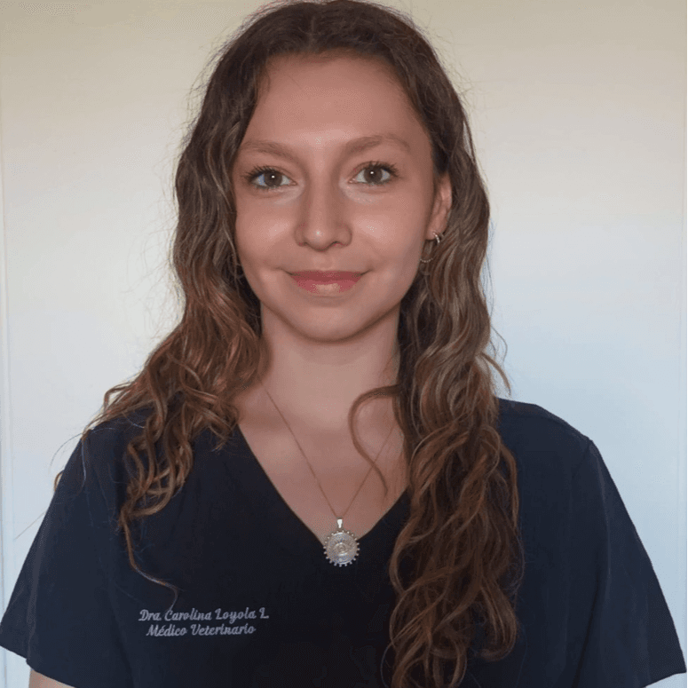 Dra. Carolina Loyola photo