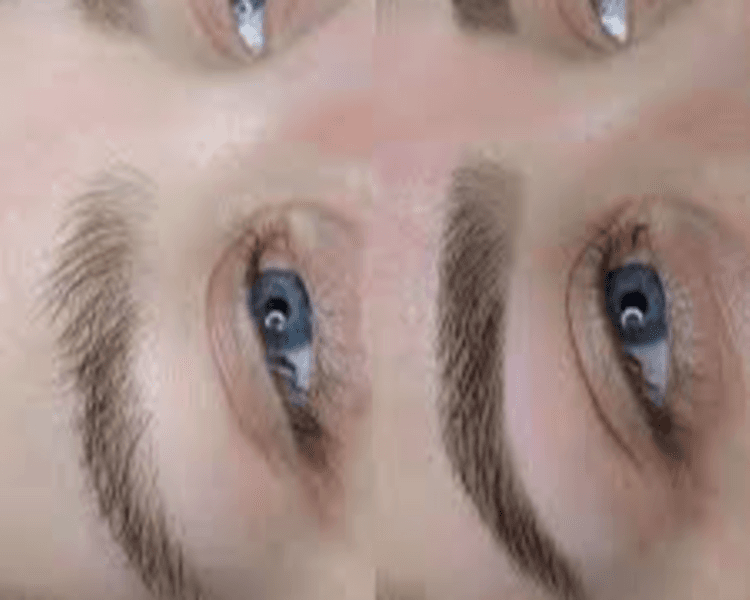 CEJAS: SERVICIO DE CEJAS :PERFILADO + LAMINADO + TINTE O HENNA