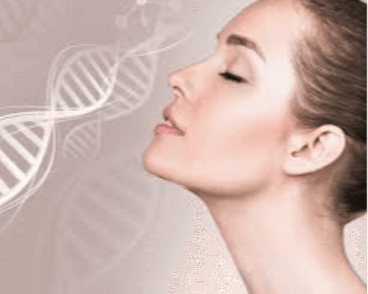 ADN Salmon (Polinucleotido)