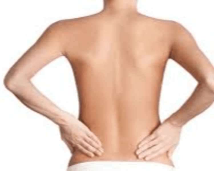 🔥 Espalda completa + flancos