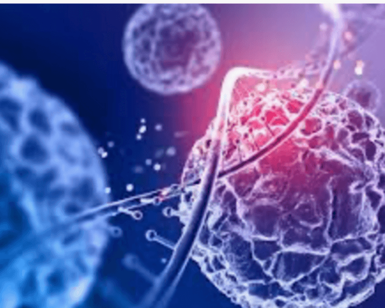 EXOSOMAS - (1,000cm 18 billones)