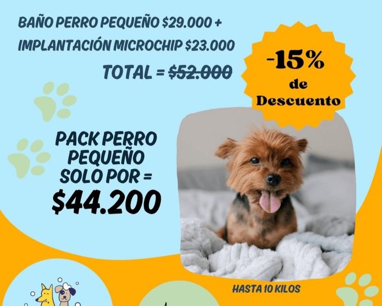 Implantación Chip + Registro