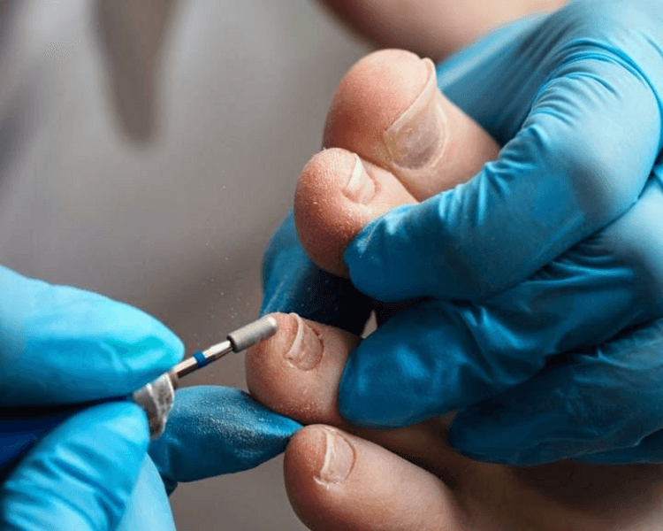 Podología Básica (Pie sano)